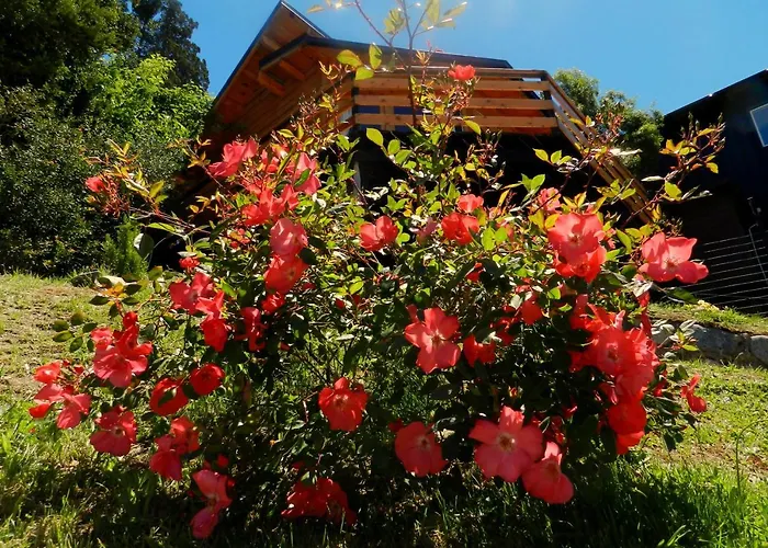 Casita De Madera